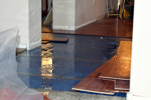 Professional Sewage Cleanup technician working in Russell, IL